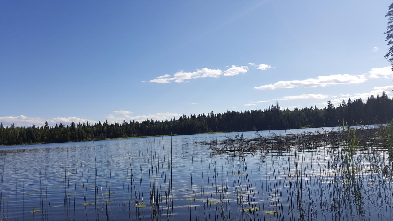 Bridge Lake Wettstone Guest Ranch B&B 외부 사진