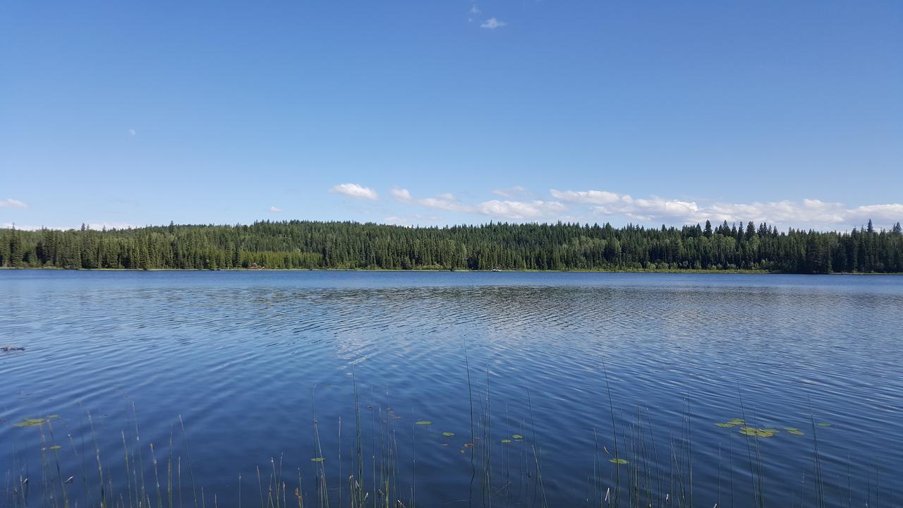 Bridge Lake Wettstone Guest Ranch B&B 외부 사진