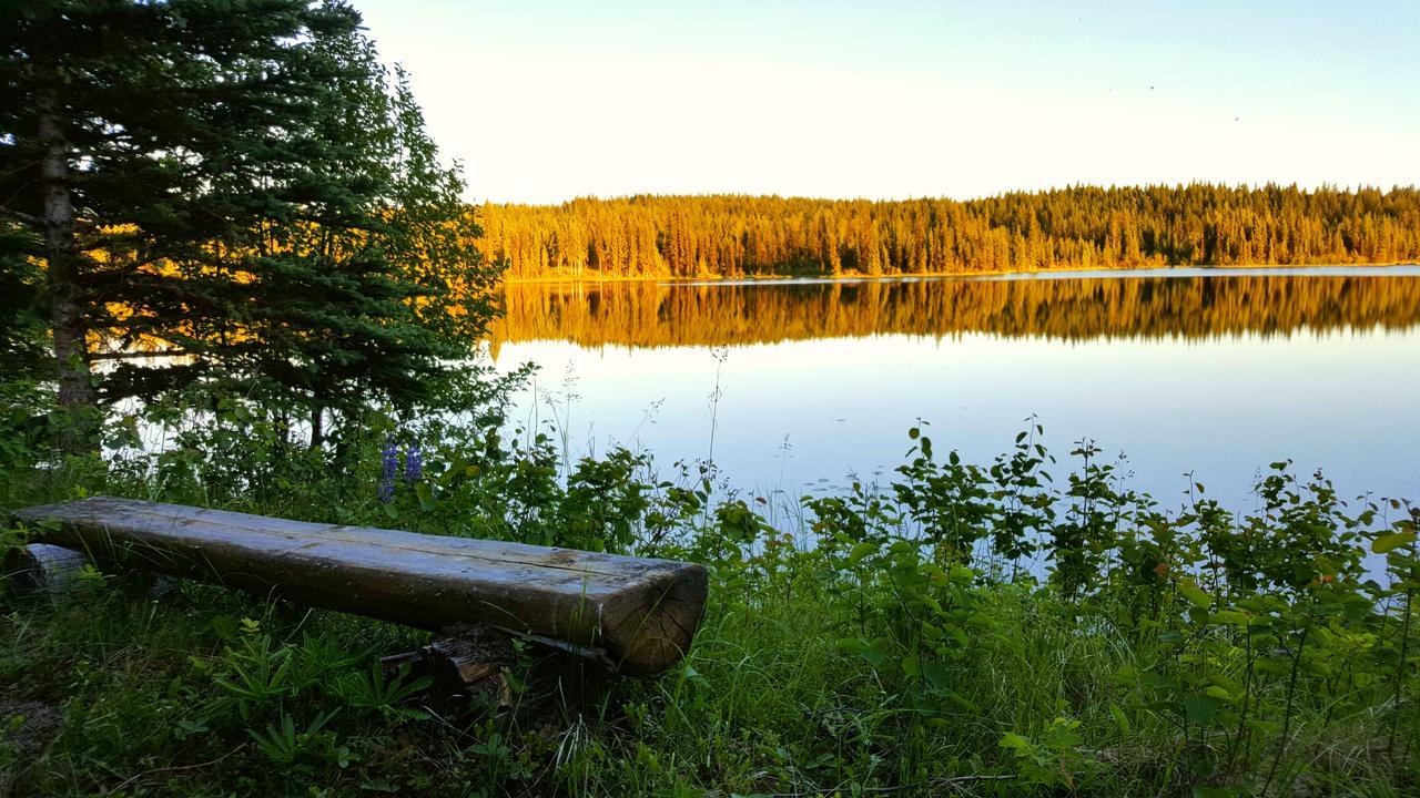 Bridge Lake Wettstone Guest Ranch B&B 외부 사진