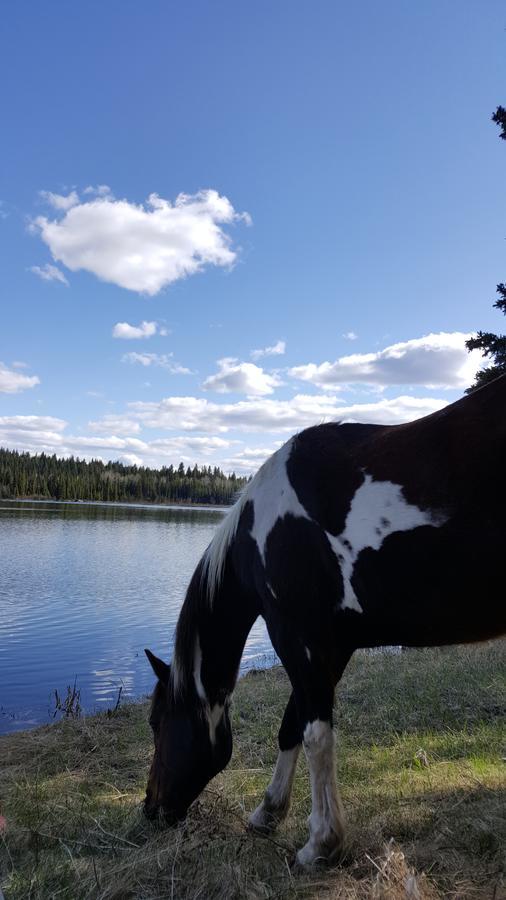 Bridge Lake Wettstone Guest Ranch B&B 외부 사진