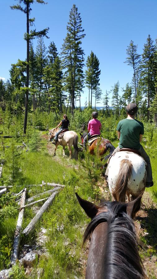 Bridge Lake Wettstone Guest Ranch B&B 외부 사진