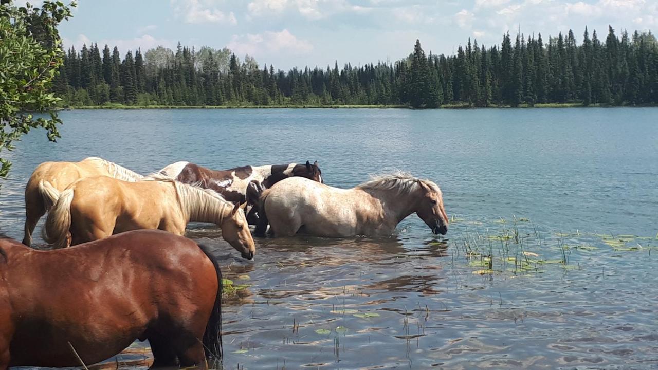 Bridge Lake Wettstone Guest Ranch B&B 외부 사진